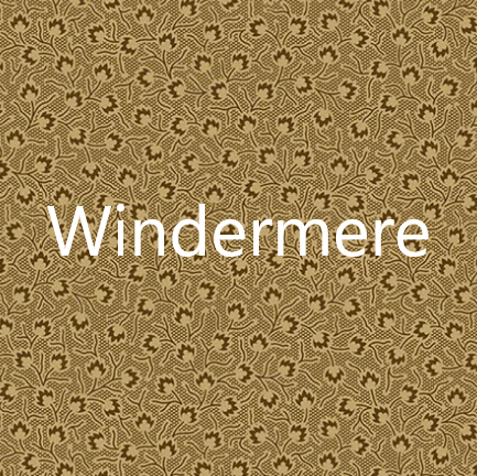 Windermere by Di Ford
